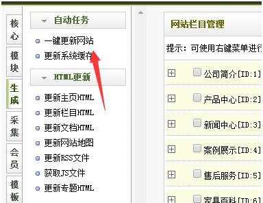 网站域名根目录查询——了解网站结构的关键一步（提供根目录查询功能的工具和方法）