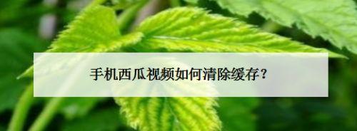 苹果手机8缓存清理指南（有效清理手机缓存）