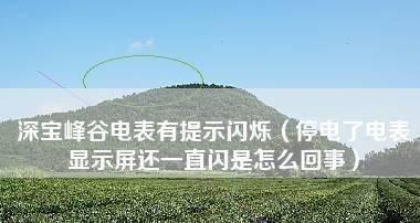 断电后显示器灯仍然闪烁，原因和解决方法（解密显示器灯闪烁背后的故障原因）