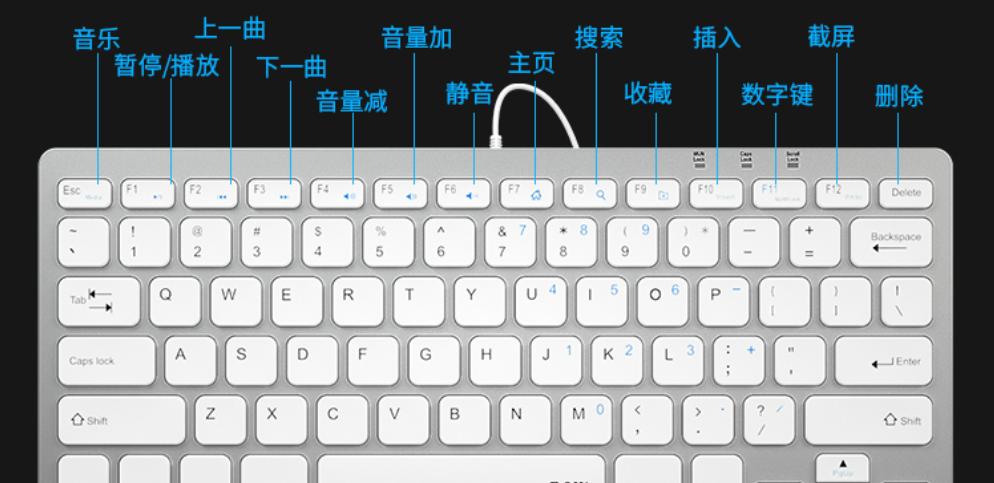 键盘锁住了打不了字怎么办？解锁步骤是什么？